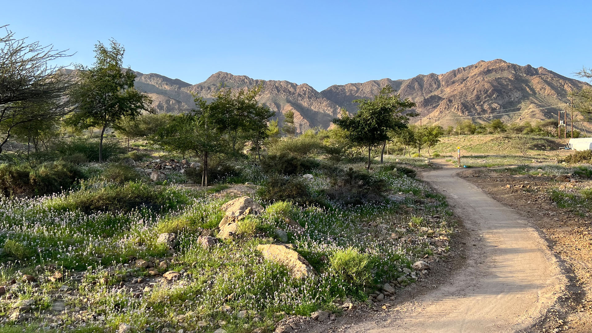 Unleash Your Inner Adventurer: Experience the Thrill of Hatta Mountain Cycling Track